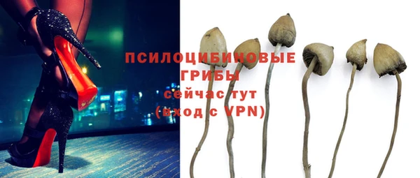 ALPHA PVP Аркадак