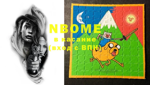 индика Осташков