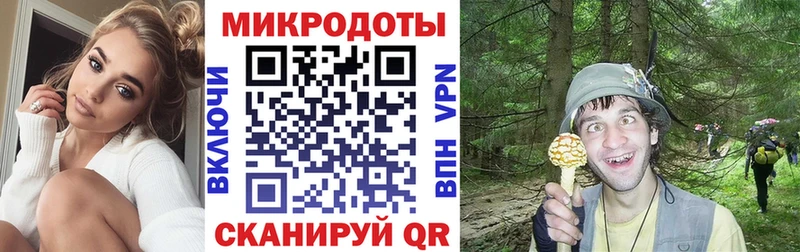 купить наркоту  Ленинск  Галлюциногенные грибы GOLDEN TEACHER 